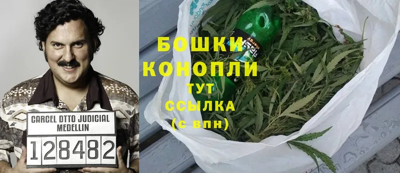 купить наркотики цена  Владикавказ  Бошки марихуана Ganja 